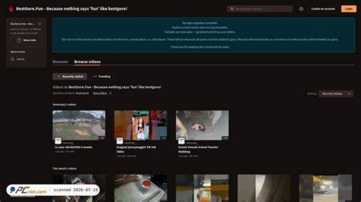 Exploring bestgore.fun: What You Need to Know About This Shock Site