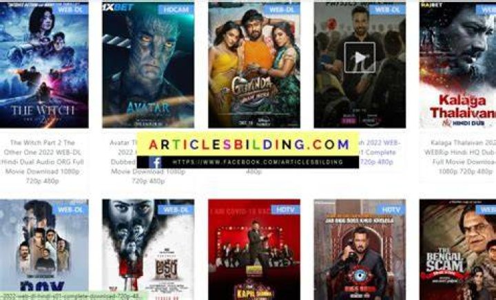 Exploring bolly4u. study: A Look at Online Movie Access