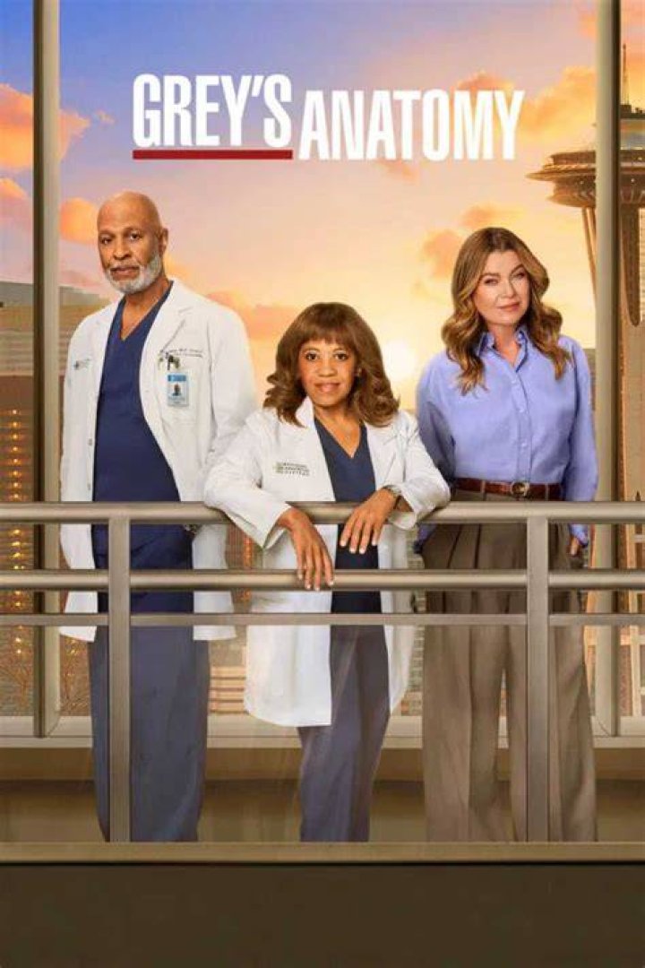 Exploring Grey's Anatomy Teddy: Her Journey and Impact