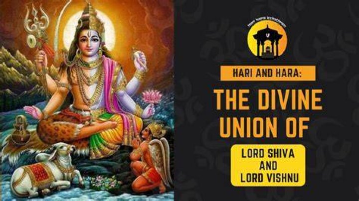 Exploring Hari-Hara Images: The Unified Divine Form