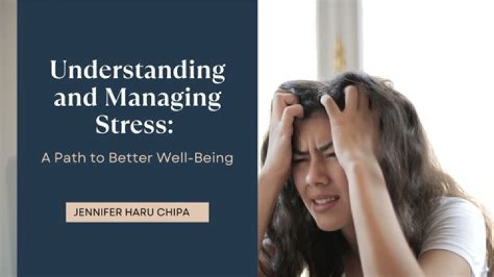 Exploring Harmoni Everett: A Path to Better Well-being and Smarter Insights