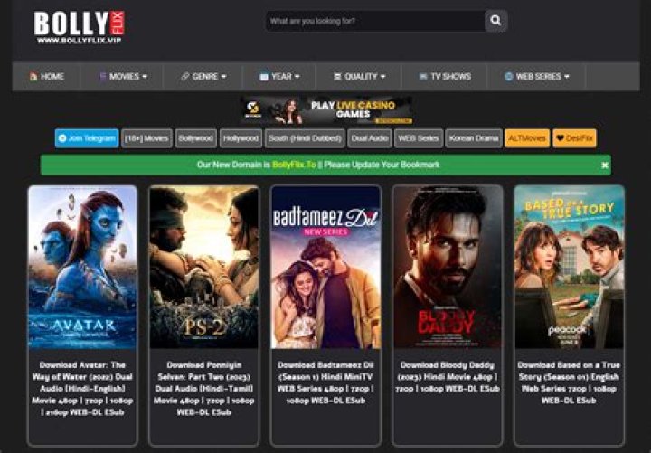 Exploring Hollywood Bollyflix: A New Era for Global Stories