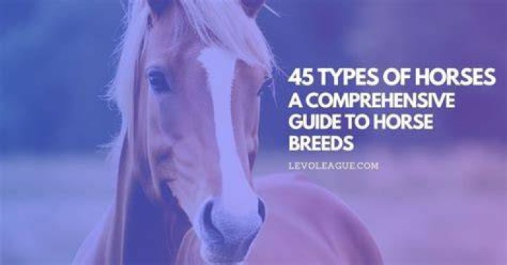 Exploring Horsemating: A Comprehensive Guide for Horse Enthusiasts Today