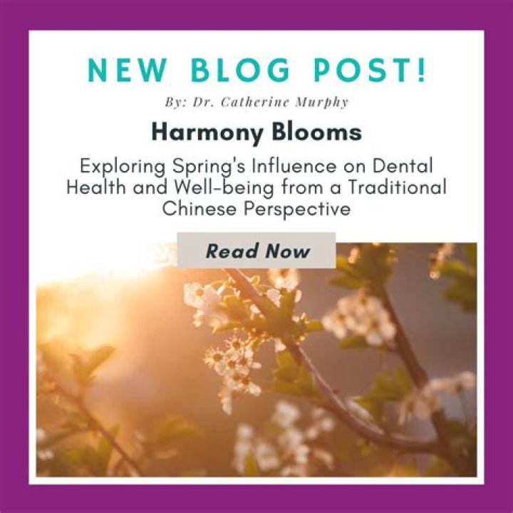 Exploring Judi Blooms: Growth and Impact in Healthcare and Beyond