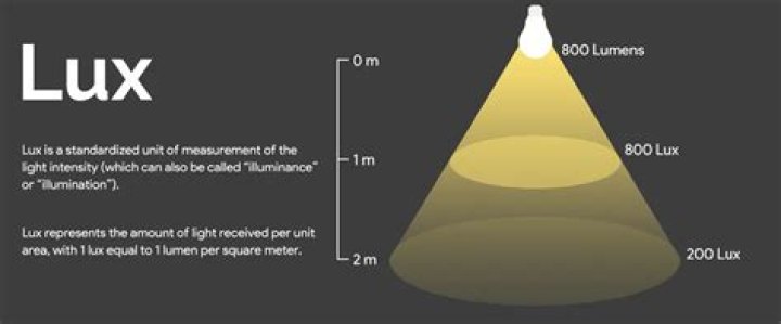 Exploring Lux: From Light Measurement to Global Revelations