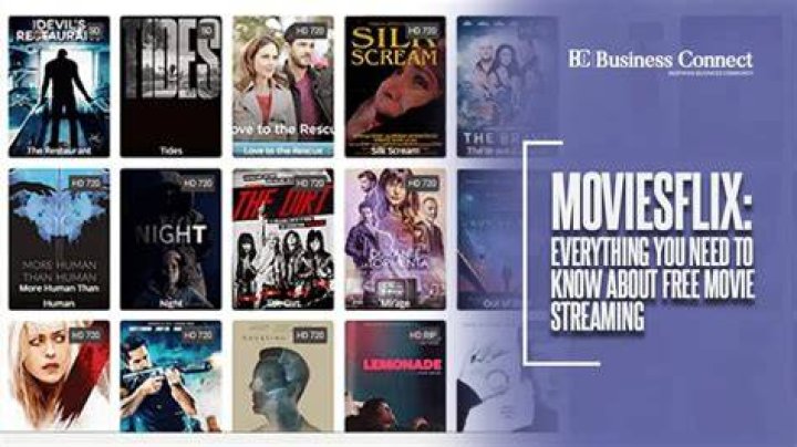 Exploring Moviesflix. com: What You Need to Know About Online Film Access Today