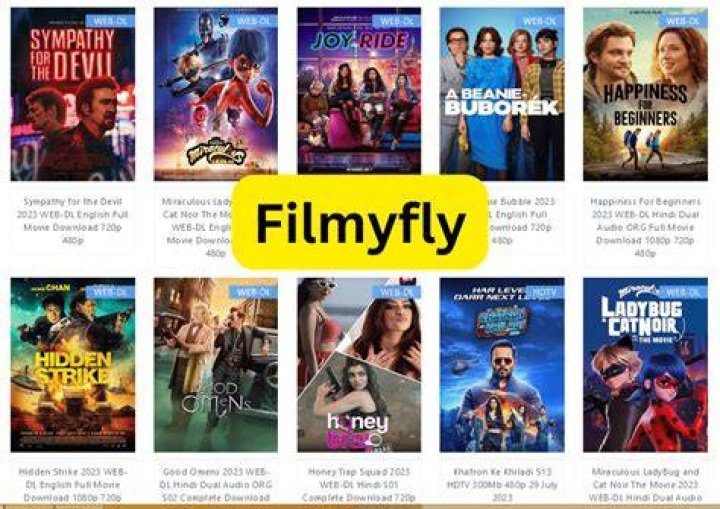 Exploring site:filmyfly.xyz: What You Might Discover Online