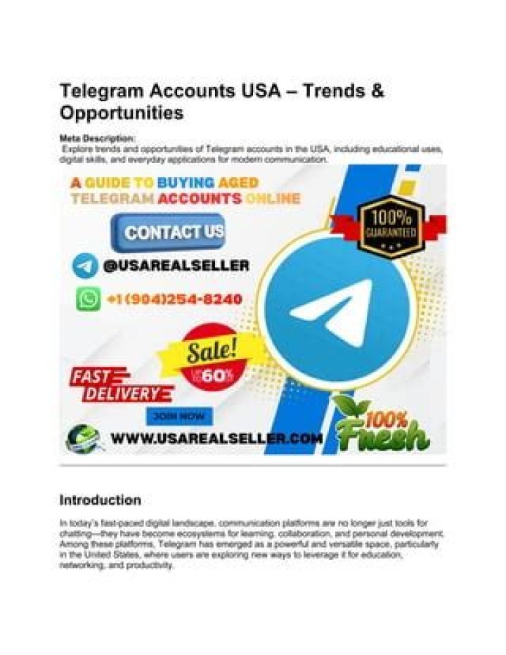 Exploring Telegram Search Trends: Hargeysa and Online Content in 2022