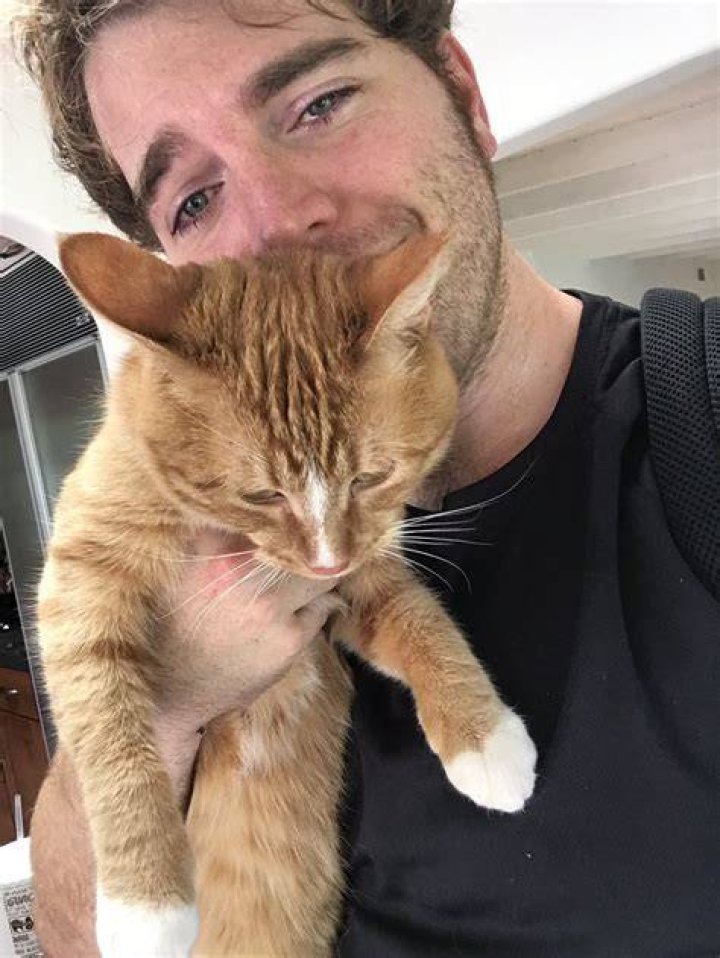 Exploring the "Shane Dawson Cat" Story: Setting the Record Straight