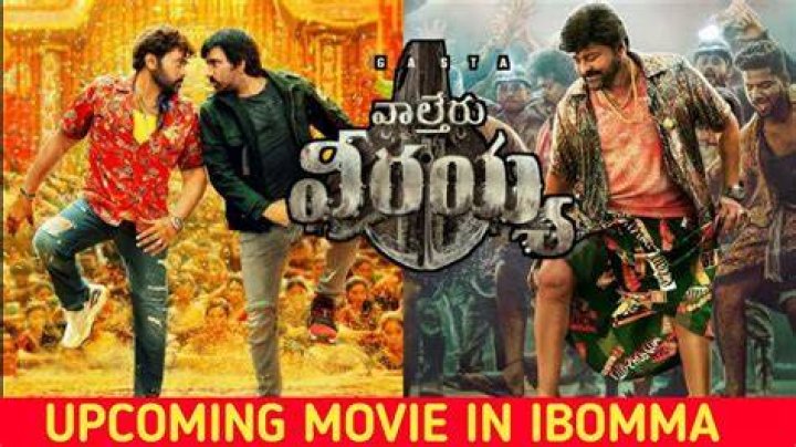 Exploring the Buzz Around Court iBOMMA Telugu Movies