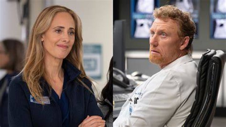 Exploring the Many Shades of Grey's Anatomy's Teddy Altman