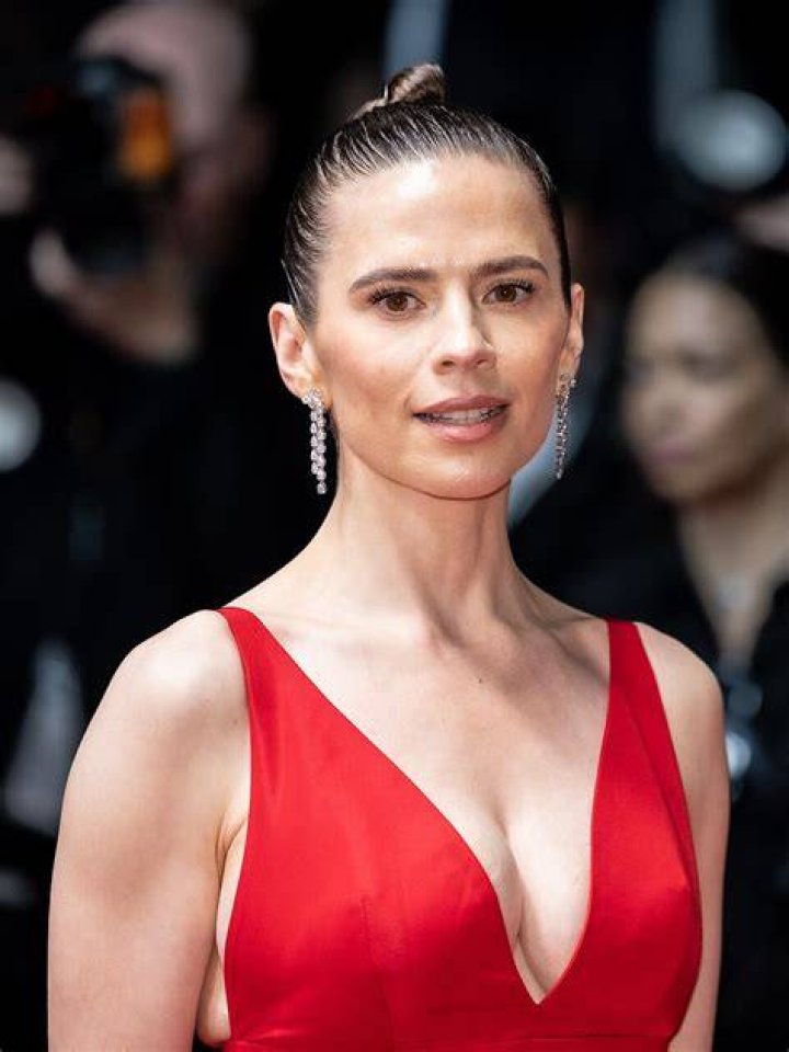 Exploring the Online Buzz Around Hayley Atwell: Privacy, Fan Communities, and Digital Footprints
