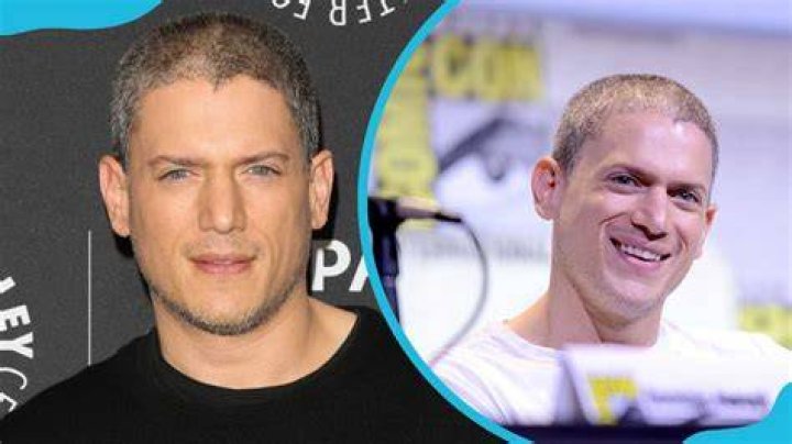 Exploring the Public Gaze on Wentworth Miller's Relationships
