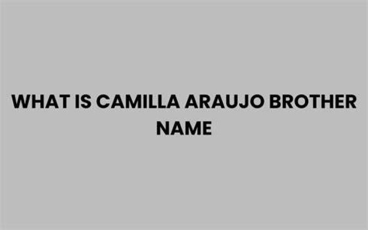 Exploring the Public Interest in Camilla Araujo Brother