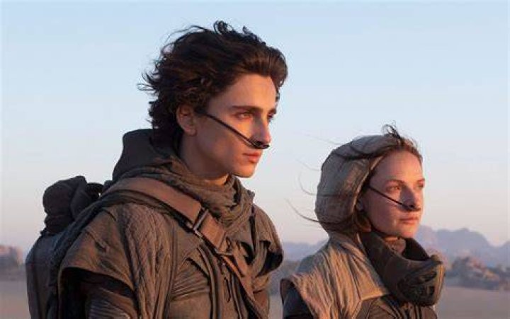 Exploring the Stellar Cast of 