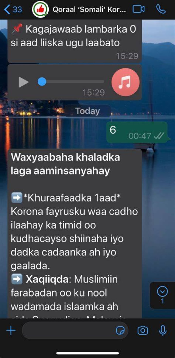Exploring Wasmo Somali TV 2022: A Look at Online Entertainment