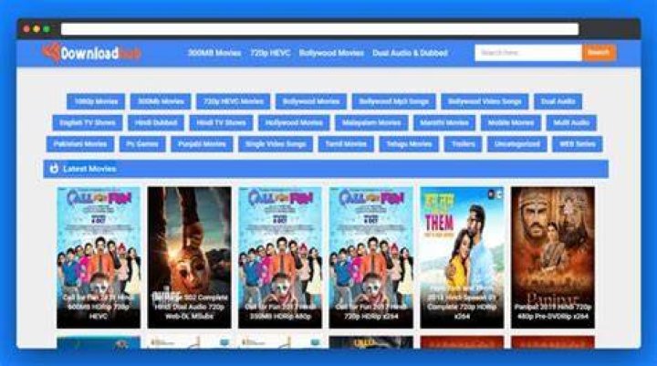 Exploring www.downloadhub.watch: What This Web Address Means for You Today