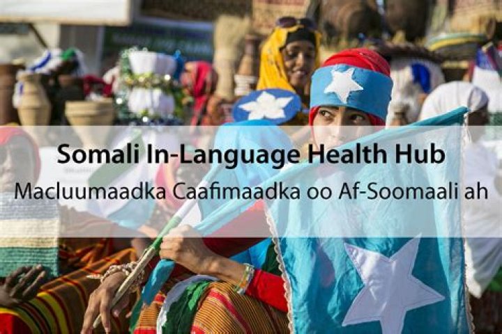 Exploring www.wasmo somali.com: A Look at Online Presence and Somali Language Resources