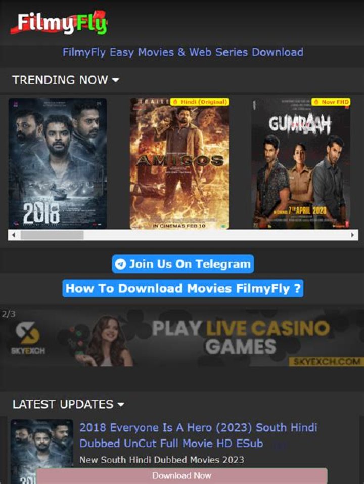 Filmyfly.in 2024: Your Guide to the Latest Movies and Shows
