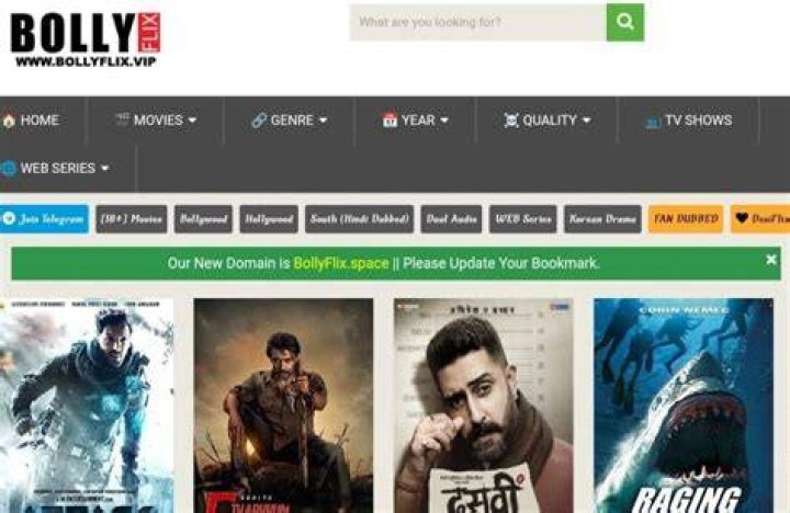 Finding Your Entertainment Spot: Exploring Bollyflix Space
