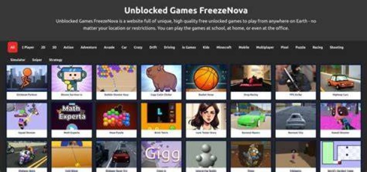 Finding Your Fun: The World of Unblocked Freezenova and Friends