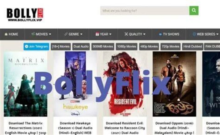 Finding Your Next Great Film: Exploring the World of Bollyflix Movies