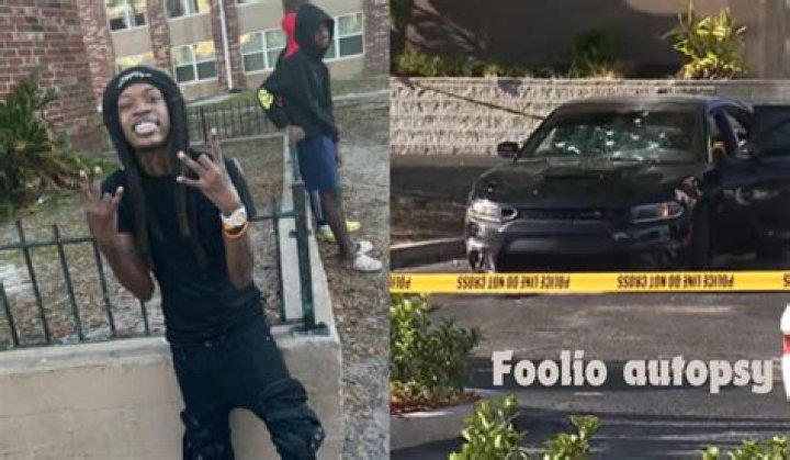 Foolio Autopsy: Unpacking Recent Events and Speculation