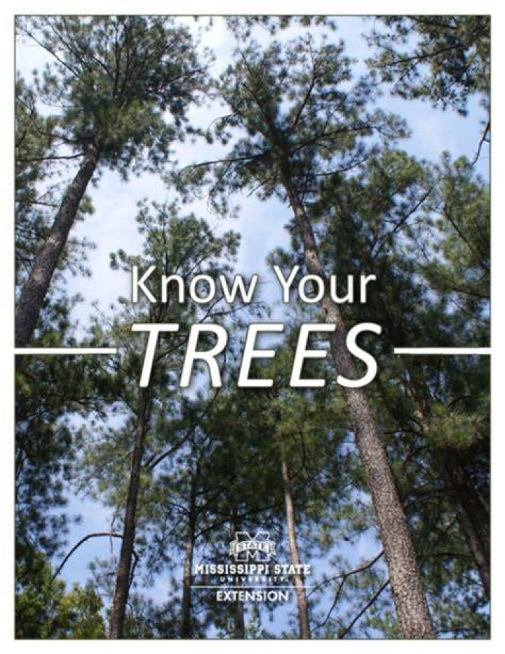 Getting the Davey Detail: What You Need to Know About Your Trees