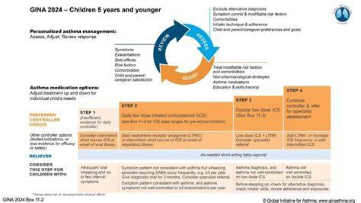 Gina Ravera Children: Exploring GINA Guidelines for Young Ones and Family Protections