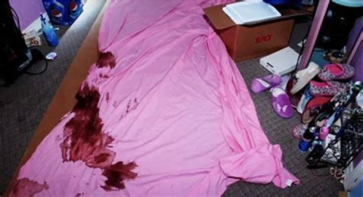 Gypsy Rose Crime Scene Photos: Unraveling the Mystery Behind the Infamous Case