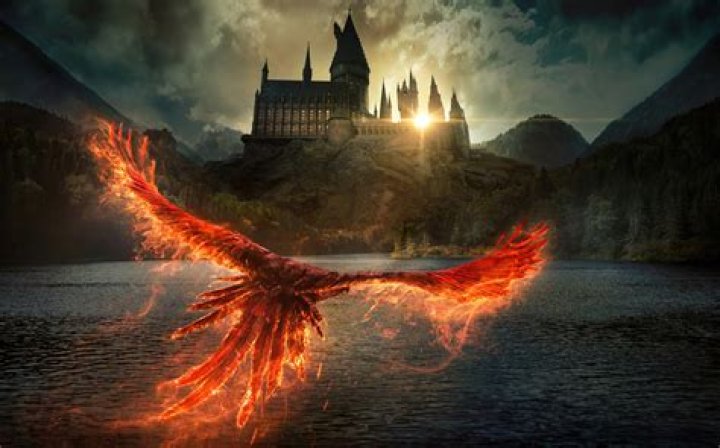 Harry Potter Turns Thirteen: Unpacking a Pivotal Year at Hogwarts