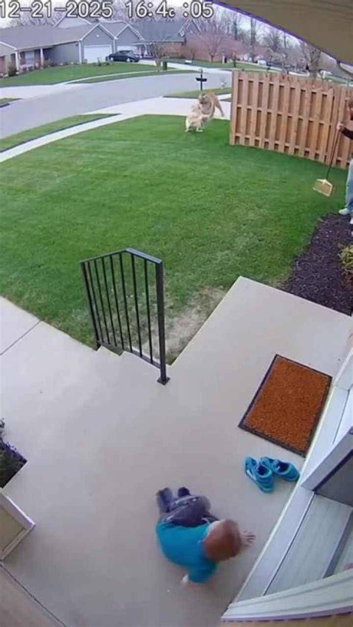 Heartwarming Moments: Why That Little Boy and Mom CCTV Video Touches So Many