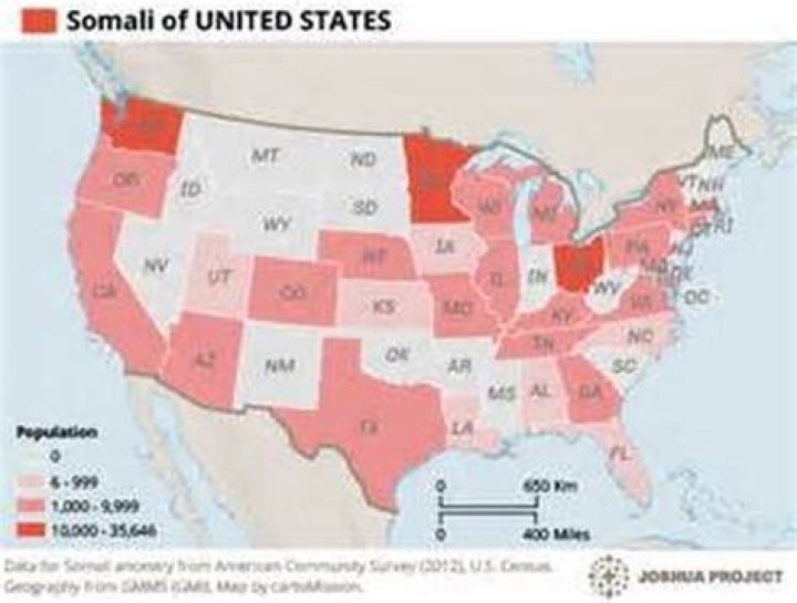 How Many Somalis Live in the USA? Understanding the Nuance of "Many"