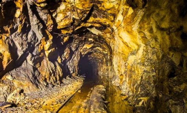 How Much Gold Did the Dakota Boys Find? Unpacking Their Mining Success