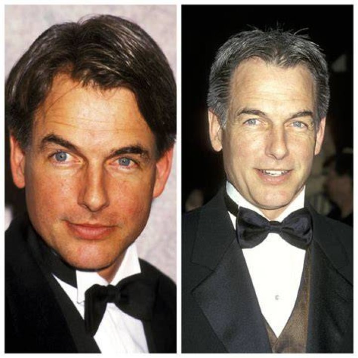 How Old Is Mark Harmon The Actor? Uncovering the Enduring Career of a Television Favorite