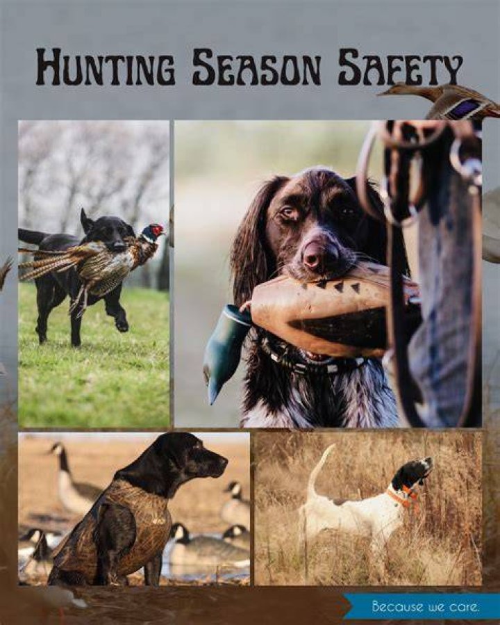 Hunter Fierri: A Voice for Thoughtful Hunting in Our Times