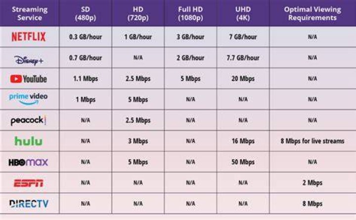 Is 300MB Enough? A Look at Data for Streaming and Everyday Use