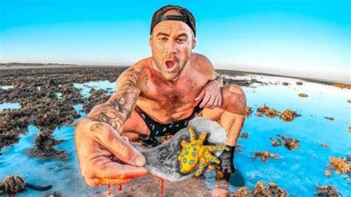 Is Brodie Moss Still Alive: What We Know About the Name 'Brodie' Today