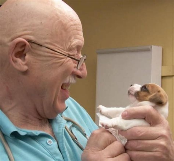 Is Dr. Pol Retiring? The Future of Your Favorite Veterinarian