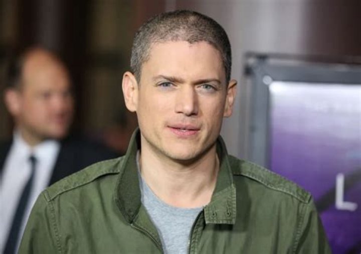 Is Wentworth Miller Married? Unpacking the Actor's Personal Life
