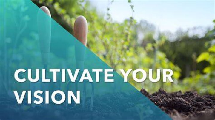 Ivy Ireland The Pitch: Cultivating Creative Visions