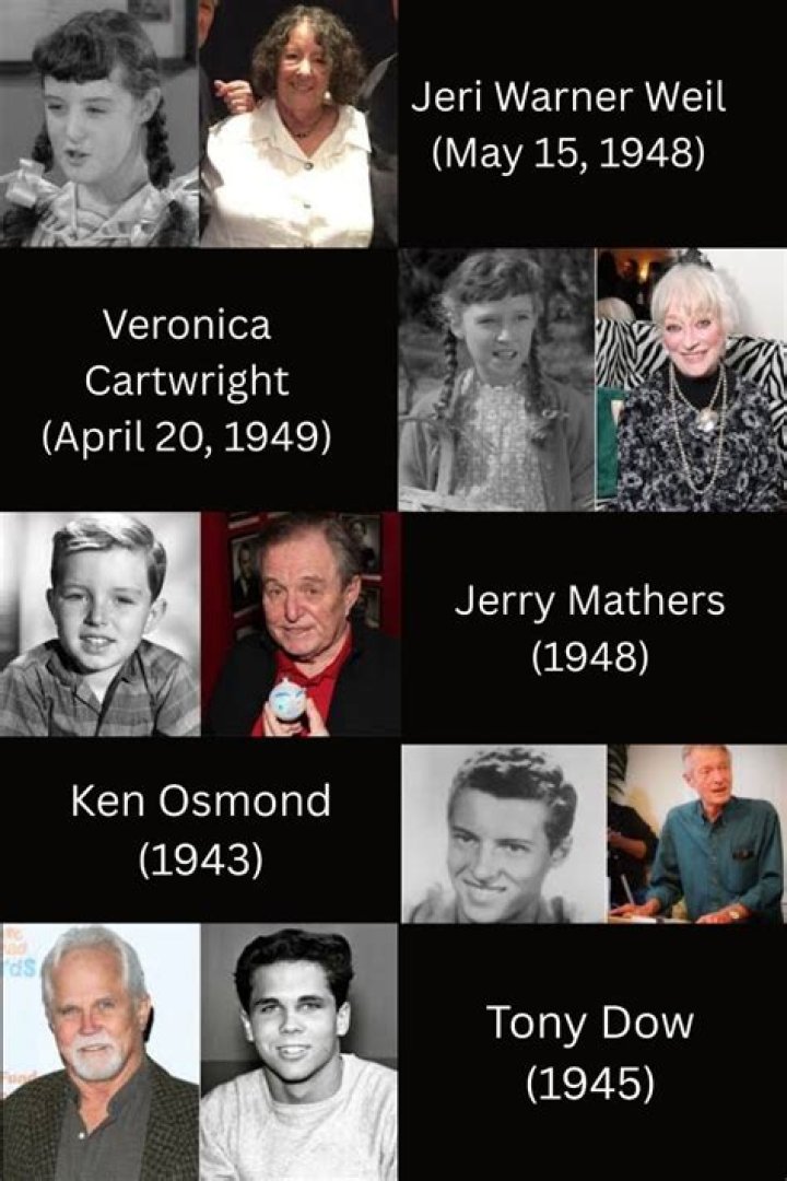 Jeri Warner Weil: A Comprehensive Look into the Life and Legacy
