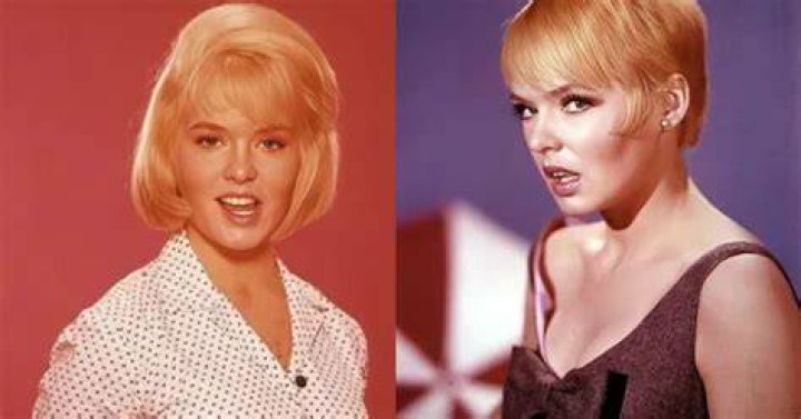Joey Heatherton Today: A Comprehensive Look at Her Journey, Life, and Career