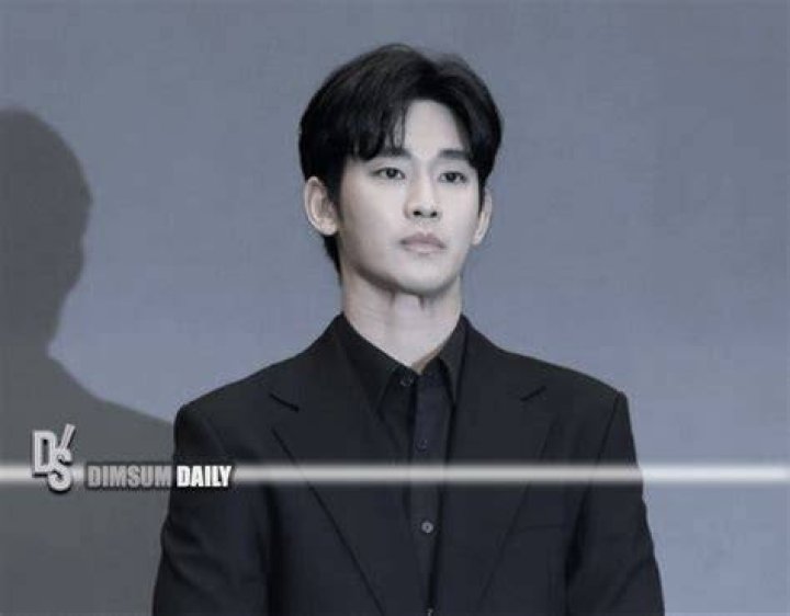 Kim Soo-hyun: Unpacking the Journey of a South Korean Talent