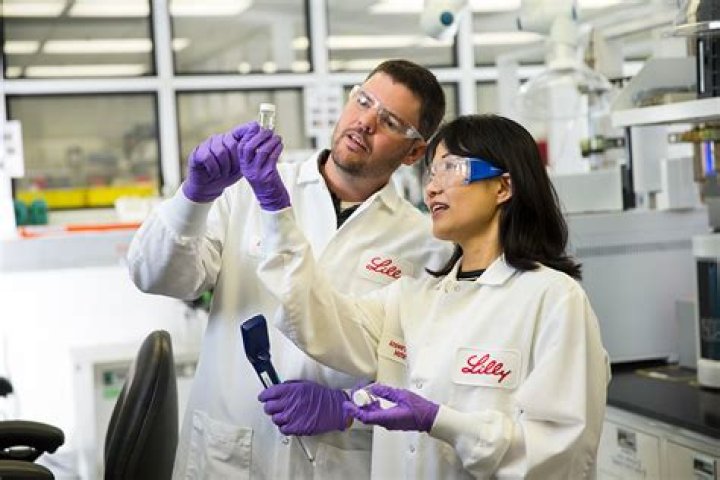 Lilly Vig: A Look Inside a Global Healthcare Innovator