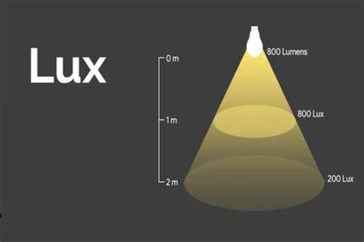 Lux Reid: Understanding 'Lux' Across Light, Lenses, and Language
