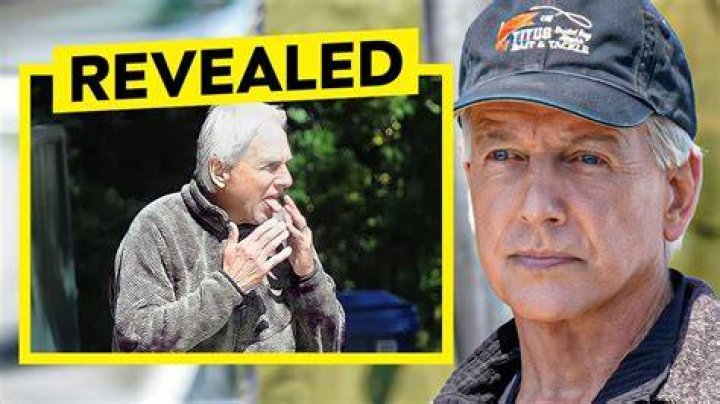 Mark Harmon Heute: What the Beloved Star is Doing Now