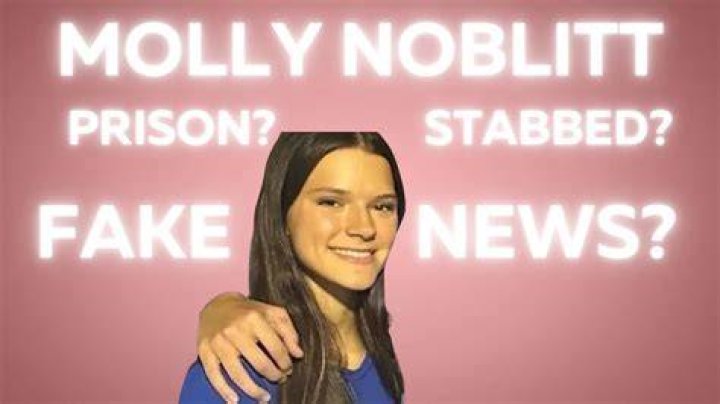 Molly Noblitt Jail Sentence: A Detailed Insight into the Case and Its Implications