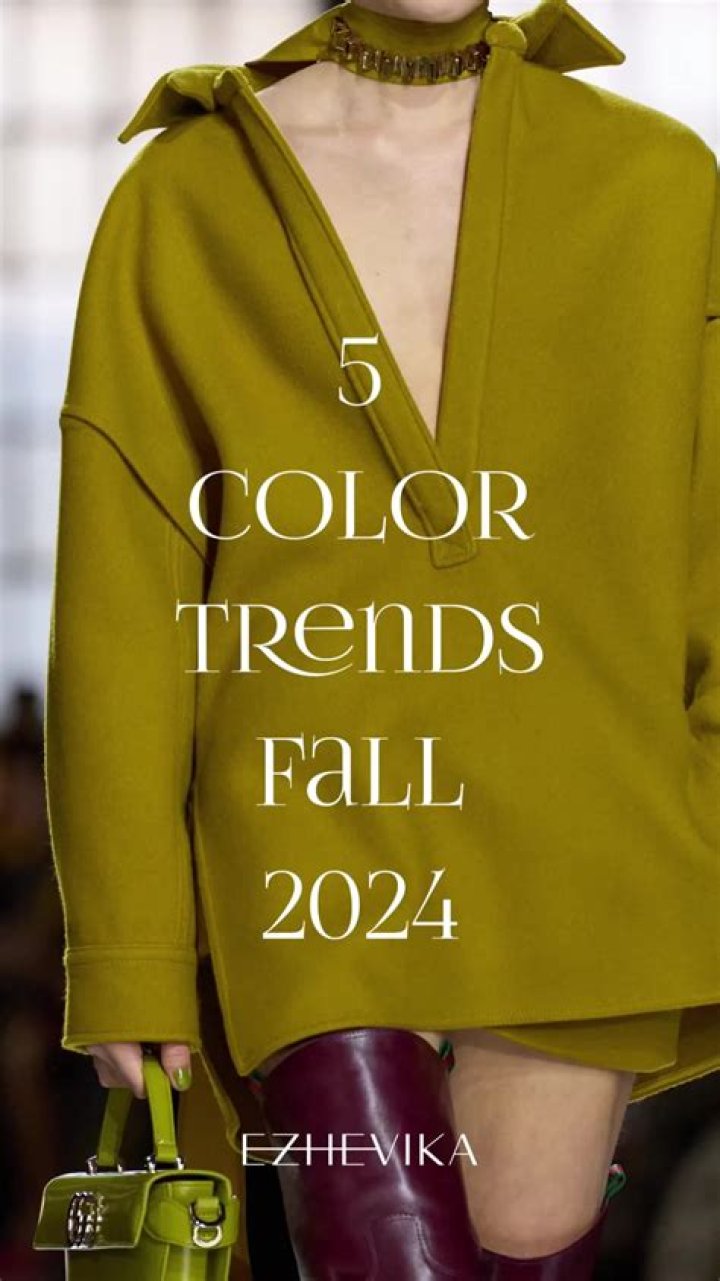 Navigating 18 + Film 2024: What You Need to Know