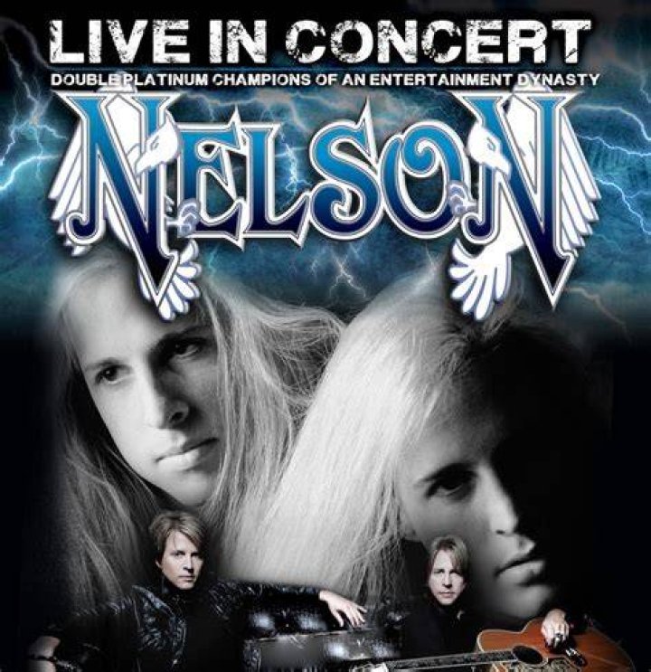 Nelson the Band: Exploring Their Enduring Sound and Legacy